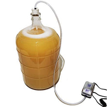 Load image into Gallery viewer, Gassy Grape Wine Degassing Vacuum Pump | carboy vacuum pump for wine degassing | degas wine | vacuum degassing wine | wine degasser
